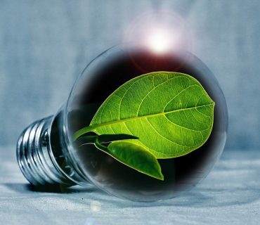 lampadina ecologica